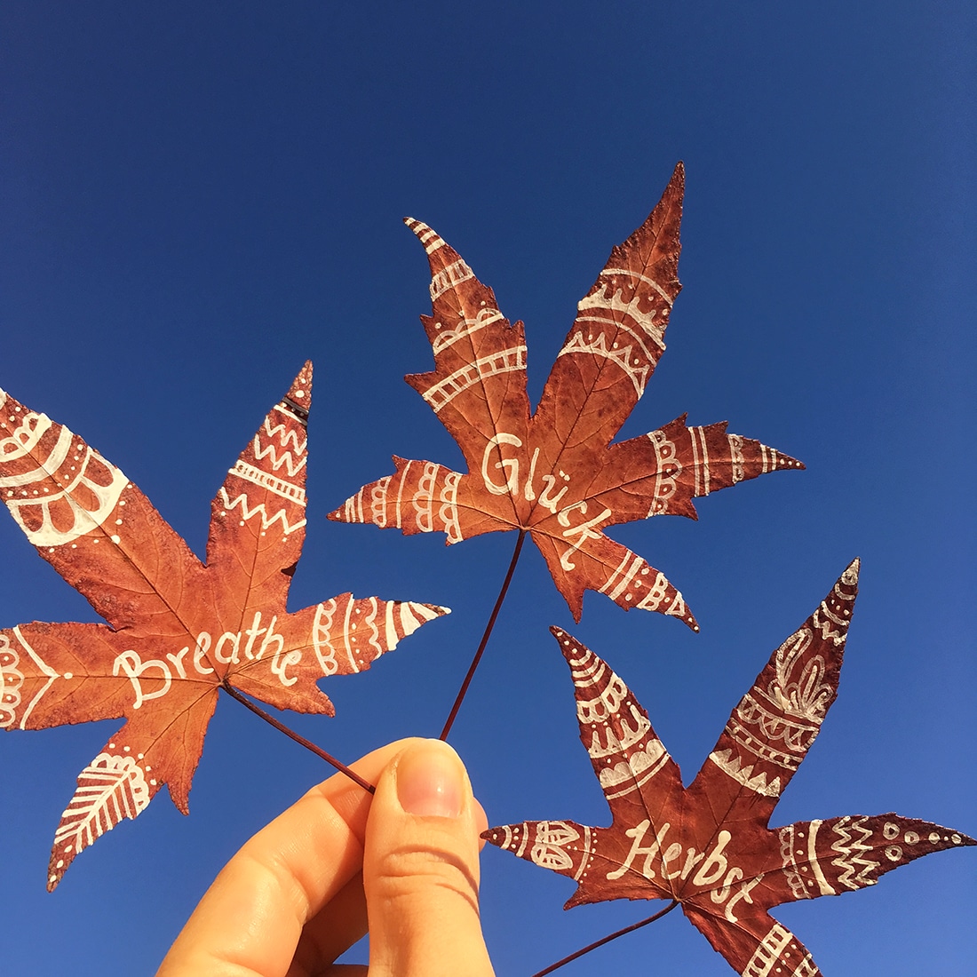 Bemalte und beschriftete Blätter vor blauem Himmel